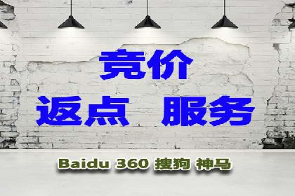 掌握SEM竞价技巧：从案例看效果提升